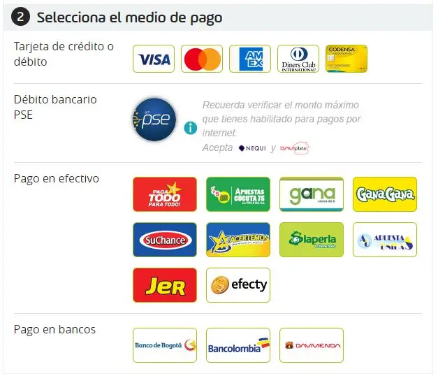 Medios de pago - Curso de desarrollo ING en México
